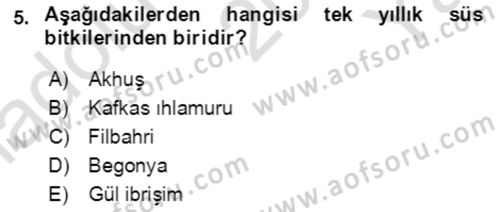Bahçe Tarımı 1 Dersi 2020 - 2021 Yılı Yaz Okulu Sınav Soruları 5. Soru