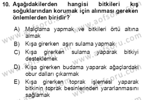 Bahçe Tarımı 1 Dersi 2021 - 2022 Yılı (Vize) Ara Sınav Soruları 10. Soru
