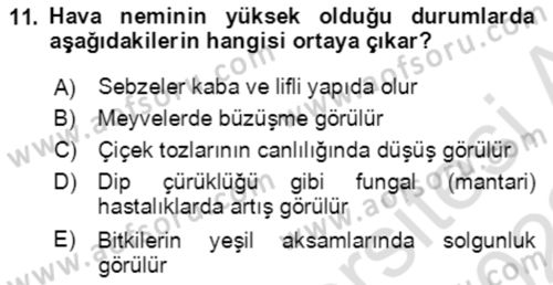Bahçe Tarımı 1 Dersi 2021 - 2022 Yılı (Vize) Ara Sınav Soruları 11. Soru