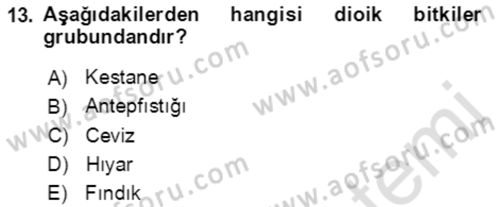 Bahçe Tarımı 1 Dersi 2021 - 2022 Yılı (Vize) Ara Sınav Soruları 13. Soru