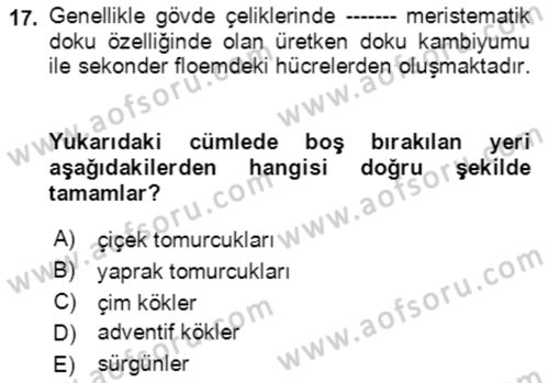 Bahçe Tarımı 1 Dersi 2021 - 2022 Yılı (Vize) Ara Sınavı 17. Soru