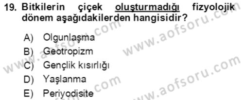 Bahçe Tarımı 1 Dersi 2021 - 2022 Yılı (Vize) Ara Sınav Soruları 19. Soru