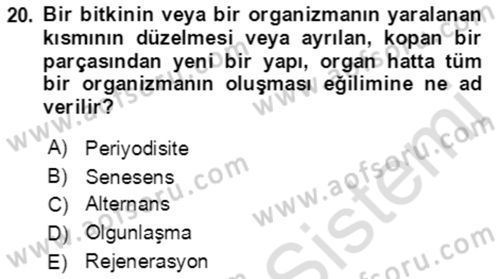 Bahçe Tarımı 1 Dersi 2021 - 2022 Yılı (Vize) Ara Sınav Soruları 20. Soru