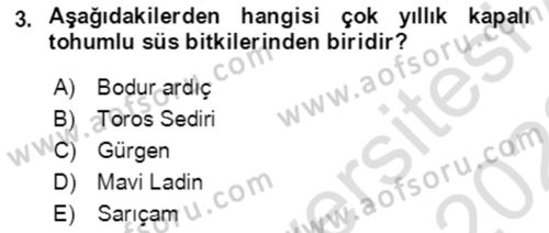 Bahçe Tarımı 1 Dersi 2021 - 2022 Yılı (Vize) Ara Sınav Soruları 3. Soru