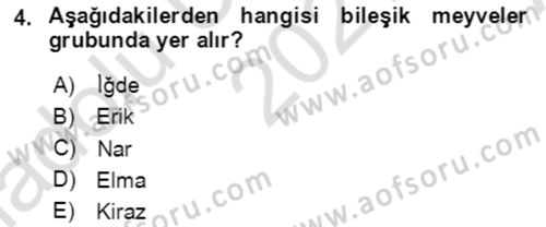 Bahçe Tarımı 1 Dersi 2021 - 2022 Yılı (Vize) Ara Sınav Soruları 4. Soru