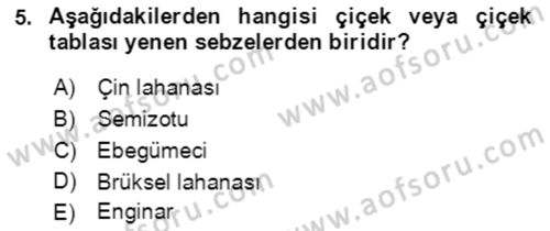Bahçe Tarımı 1 Dersi 2021 - 2022 Yılı (Vize) Ara Sınav Soruları 5. Soru