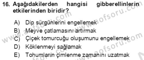 Bahçe Tarımı 1 Dersi 2021 - 2022 Yılı (Final) Dönem Sonu Sınav Soruları 16. Soru