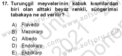 Bahçe Tarımı 1 Dersi 2021 - 2022 Yılı (Final) Dönem Sonu Sınav Soruları 17. Soru