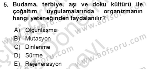 Bahçe Tarımı 1 Dersi 2021 - 2022 Yılı (Final) Dönem Sonu Sınav Soruları 5. Soru
