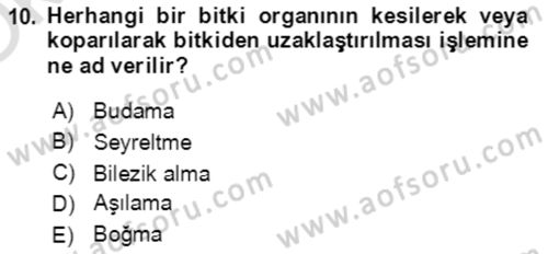 Bahçe Tarımı 1 Dersi 2021 - 2022 Yılı Yaz Okulu Sınav Soruları 10. Soru