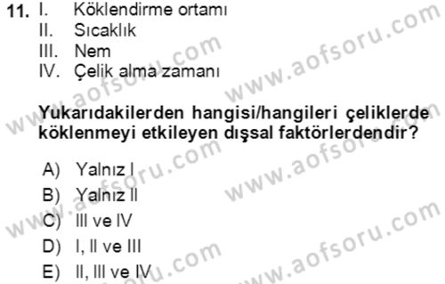 Bahçe Tarımı 1 Dersi 2021 - 2022 Yılı Yaz Okulu Sınav Soruları 11. Soru