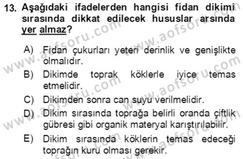 Bahçe Tarımı 1 Dersi 2021 - 2022 Yılı Yaz Okulu Sınav Soruları 13. Soru