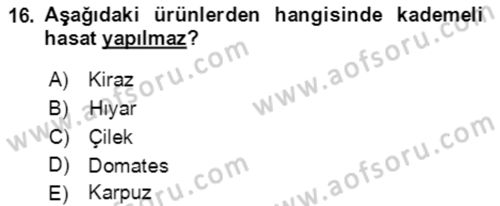 Bahçe Tarımı 1 Dersi 2021 - 2022 Yılı Yaz Okulu Sınav Soruları 16. Soru