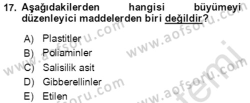 Bahçe Tarımı 1 Dersi 2021 - 2022 Yılı Yaz Okulu Sınav Soruları 17. Soru