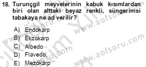 Bahçe Tarımı 1 Dersi 2021 - 2022 Yılı Yaz Okulu Sınav Soruları 18. Soru