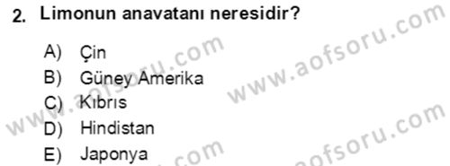 Bahçe Tarımı 1 Dersi 2021 - 2022 Yılı Yaz Okulu Sınav Soruları 2. Soru