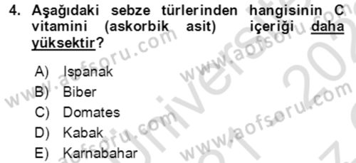 Bahçe Tarımı 1 Dersi 2021 - 2022 Yılı Yaz Okulu Sınav Soruları 4. Soru