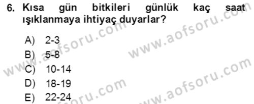 Bahçe Tarımı 1 Dersi 2021 - 2022 Yılı Yaz Okulu Sınav Soruları 6. Soru