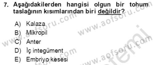 Bahçe Tarımı 1 Dersi 2021 - 2022 Yılı Yaz Okulu Sınav Soruları 7. Soru