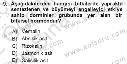 Bahçe Tarımı 1 Dersi 2021 - 2022 Yılı Yaz Okulu Sınav Soruları 9. Soru