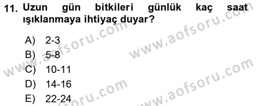 Bahçe Tarımı 1 Dersi 2022 - 2023 Yılı (Vize) Ara Sınav Soruları 11. Soru