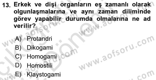 Bahçe Tarımı 1 Dersi 2022 - 2023 Yılı (Vize) Ara Sınav Soruları 13. Soru