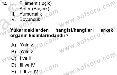 Bahçe Tarımı 1 Dersi 2022 - 2023 Yılı (Vize) Ara Sınav Soruları 14. Soru