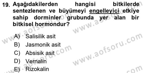 Bahçe Tarımı 1 Dersi 2022 - 2023 Yılı (Vize) Ara Sınav Soruları 19. Soru