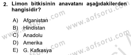 Bahçe Tarımı 1 Dersi 2022 - 2023 Yılı (Vize) Ara Sınav Soruları 2. Soru