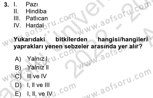 Bahçe Tarımı 1 Dersi 2022 - 2023 Yılı (Vize) Ara Sınav Soruları 3. Soru