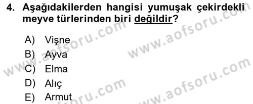 Bahçe Tarımı 1 Dersi 2022 - 2023 Yılı (Vize) Ara Sınav Soruları 4. Soru
