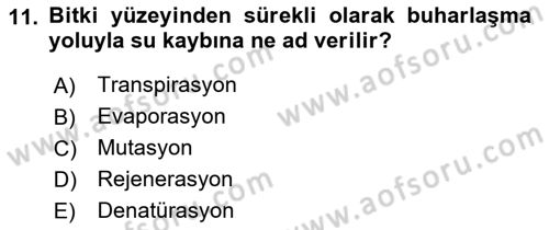 Bahçe Tarımı 1 Dersi 2022 - 2023 Yılı (Final) Dönem Sonu Sınav Soruları 11. Soru
