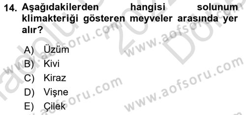 Bahçe Tarımı 1 Dersi 2022 - 2023 Yılı (Final) Dönem Sonu Sınav Soruları 14. Soru
