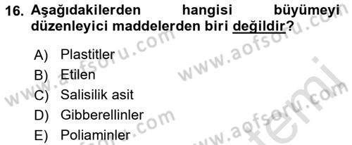 Bahçe Tarımı 1 Dersi 2022 - 2023 Yılı (Final) Dönem Sonu Sınav Soruları 16. Soru