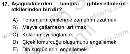 Bahçe Tarımı 1 Dersi 2022 - 2023 Yılı (Final) Dönem Sonu Sınav Soruları 17. Soru