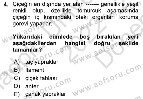 Bahçe Tarımı 1 Dersi 2022 - 2023 Yılı (Final) Dönem Sonu Sınav Soruları 4. Soru