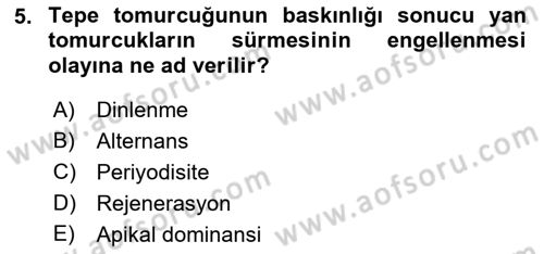 Bahçe Tarımı 1 Dersi 2022 - 2023 Yılı (Final) Dönem Sonu Sınav Soruları 5. Soru