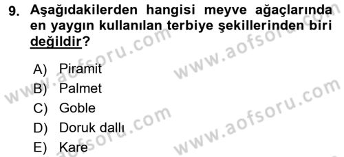 Bahçe Tarımı 1 Dersi 2022 - 2023 Yılı (Final) Dönem Sonu Sınav Soruları 9. Soru
