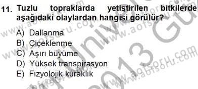 Ekoloji ve Çevre Bilgisi Dersi 2012 - 2013 Yılı (Vize) Ara Sınav Soruları 11. Soru