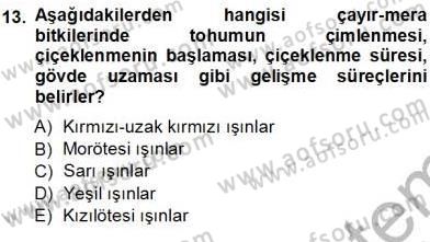 Ekoloji ve Çevre Bilgisi Dersi 2012 - 2013 Yılı (Vize) Ara Sınav Soruları 13. Soru