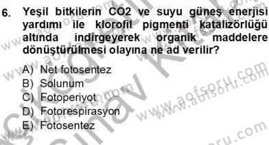Ekoloji ve Çevre Bilgisi Dersi 2012 - 2013 Yılı (Vize) Ara Sınav Soruları 6. Soru