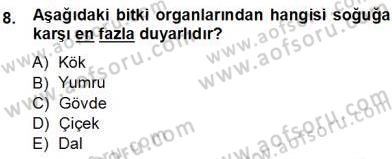 Ekoloji ve Çevre Bilgisi Dersi Ara Sınavı Deneme Sınav Soruları 8. Soru