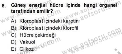Ekoloji ve Çevre Bilgisi Dersi Ara Sınavı Deneme Sınav Soruları 6. Soru