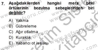 Ekoloji ve Çevre Bilgisi Dersi 2013 - 2014 Yılı Tek Ders Sınav Soruları 7. Soru