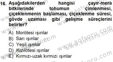 Ekoloji ve Çevre Bilgisi Dersi 2014 - 2015 Yılı (Vize) Ara Sınav Soruları 16. Soru