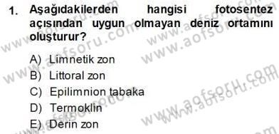 Ekoloji ve Çevre Bilgisi Dersi 2014 - 2015 Yılı (Final) Dönem Sonu Sınav Soruları 1. Soru