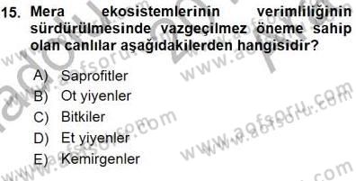 Ekoloji ve Çevre Bilgisi Dersi 2015 - 2016 Yılı (Vize) Ara Sınav Soruları 15. Soru