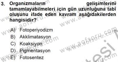 Ekoloji ve Çevre Bilgisi Dersi Ara Sınavı Deneme Sınav Soruları 3. Soru