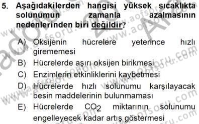 Ekoloji ve Çevre Bilgisi Dersi Ara Sınavı Deneme Sınav Soruları 5. Soru