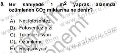 Ekoloji ve Çevre Bilgisi Dersi 2015 - 2016 Yılı (Vize) Ara Sınav Soruları 8. Soru